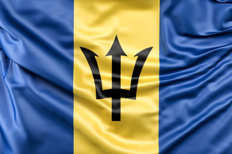 Study MBBS in Kyrgyzstan-2025 30 Flag of Barbados