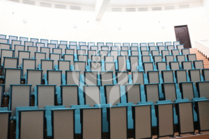 CISM 12 Individual Study Table 17