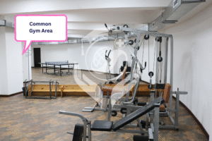 CISM 24 Individual Study Table 5